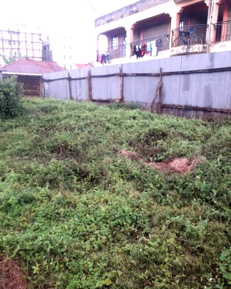 KSh 220M Riverside Plot