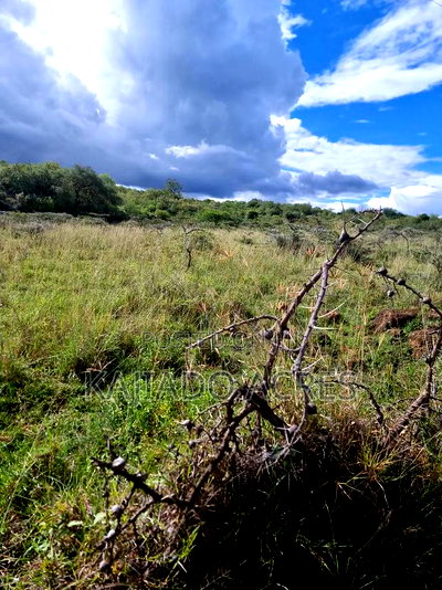 49 Acres Soitamurt, Kajiado West - Image 14