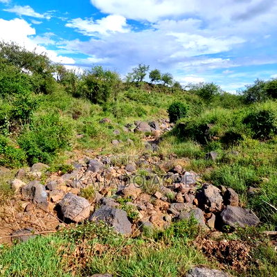 49 Acres Soitamurt, Kajiado West - Image 7