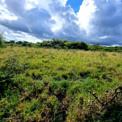 49 Acres Soitamurt, Kajiado West - Image 15