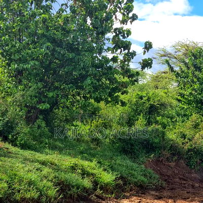 49 Acres Soitamurt, Kajiado West - Image 4