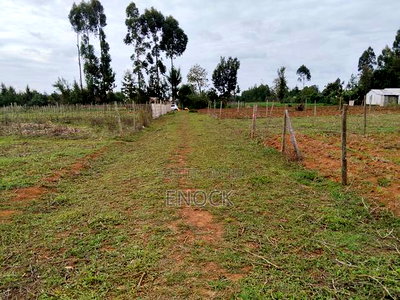 Prime Residential Plots in Outspan Kiambaa Eldoret - Image 4