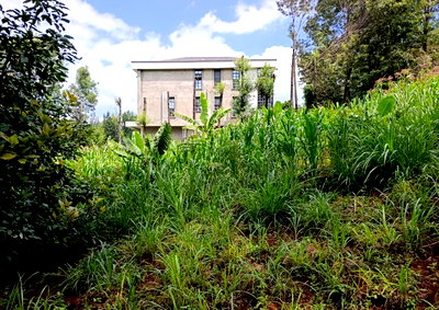 1 Acre Plot with Garden in Langata