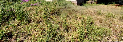 1-Acre Plot with Garden at KSh 150M