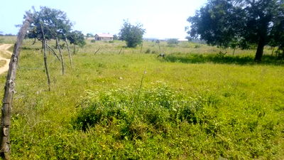 100/100 Feet Plot for Sale - Image 7