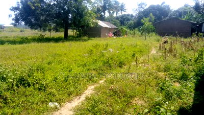 100/100 Feet Plot for Sale - Image 8