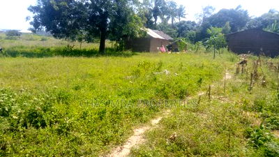 100/100 Feet Plot for Sale - Image 4