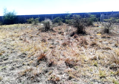 50x100 Garden Plot at KSh 4.5M