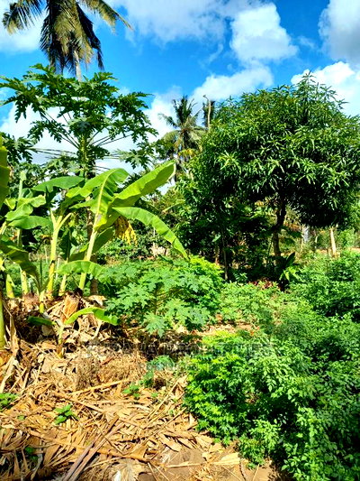 For Sale 2 Acre Land Ukunda - Image 5