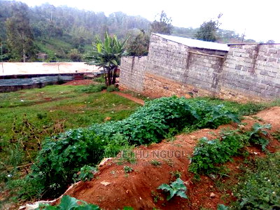 50 X 100 Commercial Plot Kirigiti - Image 5