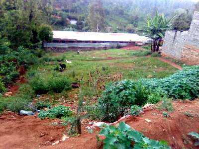 50 X 100 Commercial Plot Kirigiti - Image 6