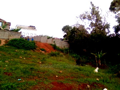 50 X 100 Commercial Plot Kirigiti - Image 3