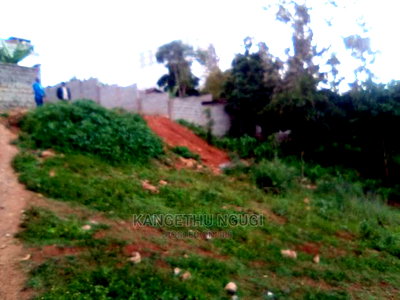 50 X 100 Commercial Plot Kirigiti - Image 4