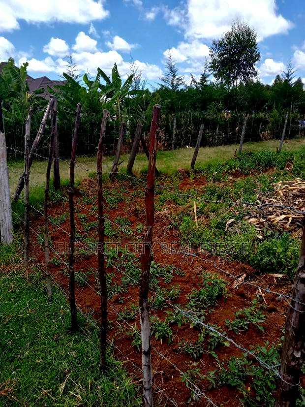1/8 Plot for Sale Ilula.