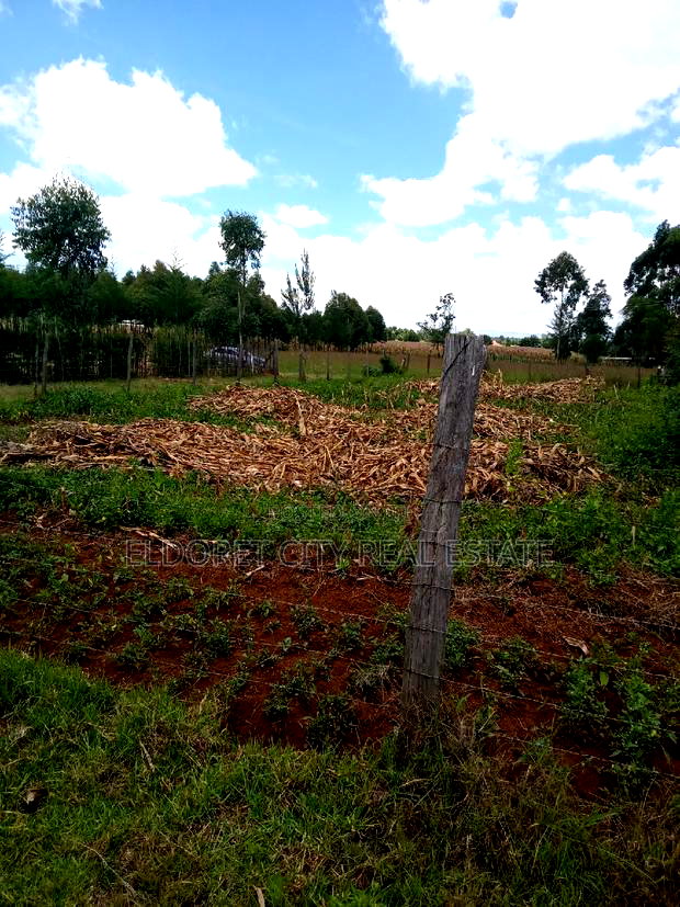 1/8 Plot for Sale Ilula.