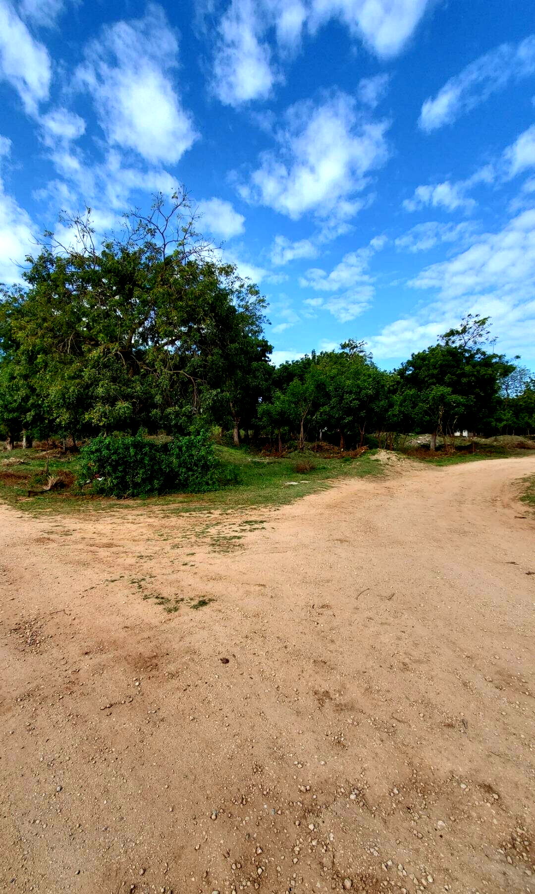 Quarter Acre Garden Plot in Shanzu