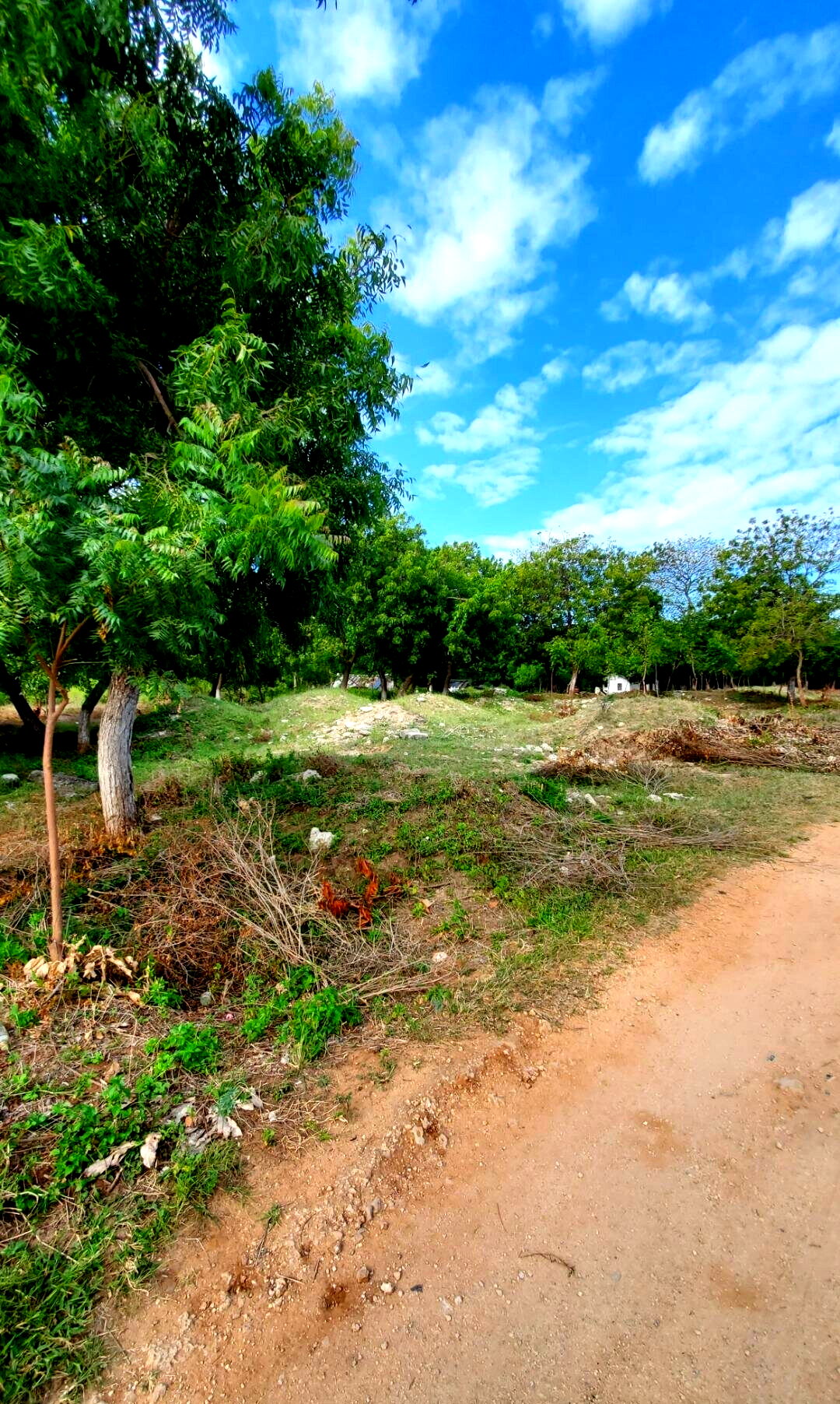 Quarter Acre Garden Plot in Shanzu
