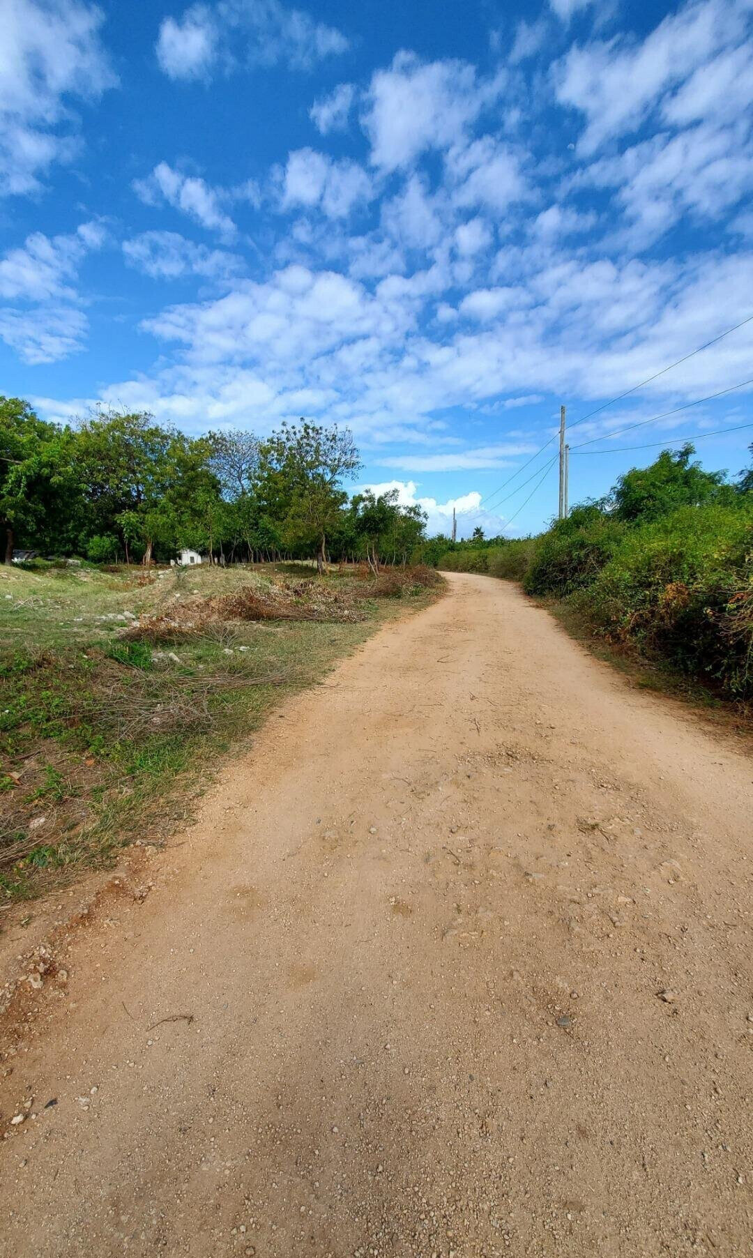 Quarter Acre Garden Plot in Shanzu