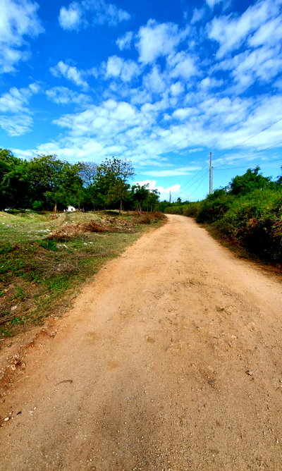Quarter Acre Garden Plot in Shanzu