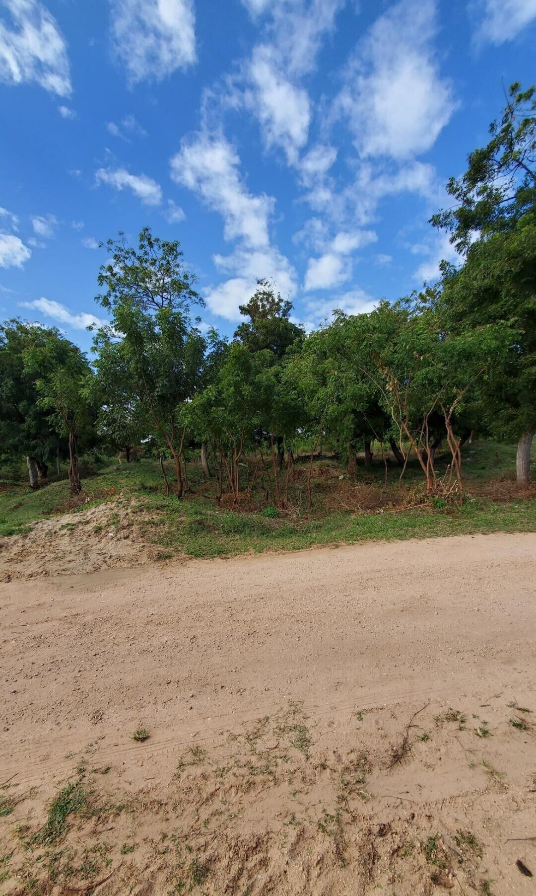 Quarter Acre Garden Plot in Shanzu