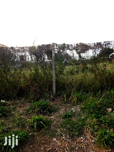 For Sale Quater Acre Plots Nyali - Image 3