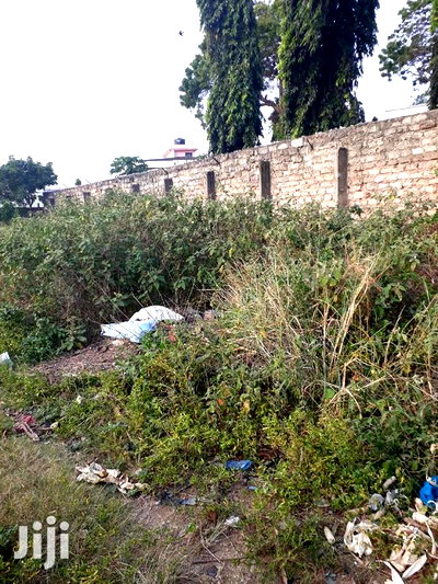 For Sale Quater Acre Plots Nyali - Image 4