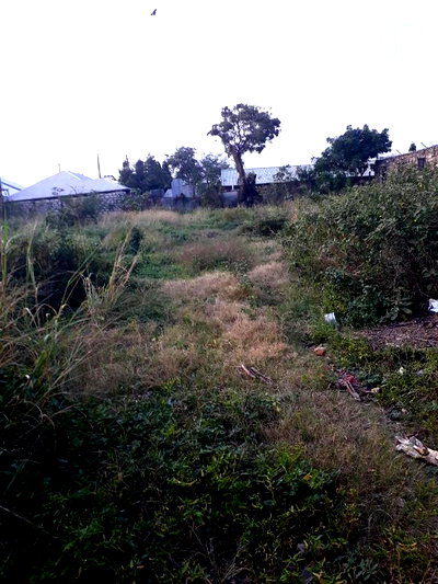 For Sale Quater Acre Plots Nyali - Image 5
