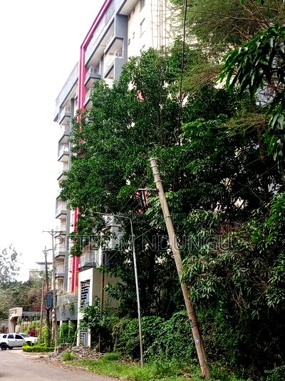 Prime Land on Sale, 0.75 Acre Behind Safari Park - Image 8