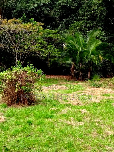 Prime Land on Sale, 0.75 Acre Behind Safari Park - Image 10