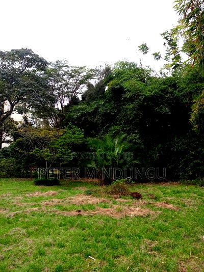 Prime Land on Sale, 0.75 Acre Behind Safari Park - Image 3