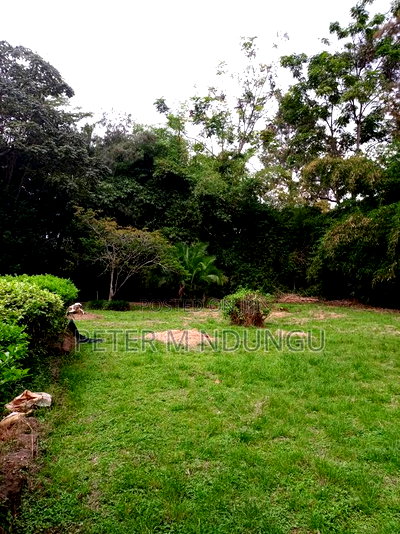 Prime Land on Sale, 0.75 Acre Behind Safari Park - Image 4