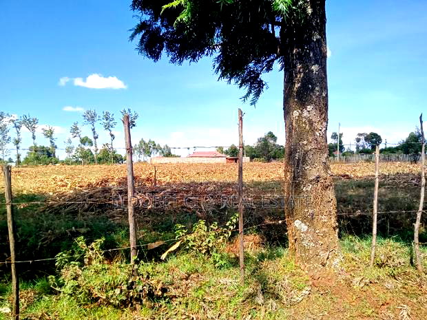 4 Acres Chebarus Ilula With Title.