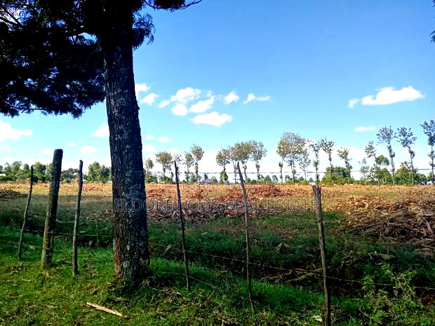 4 Acres Chebarus Ilula With Title.