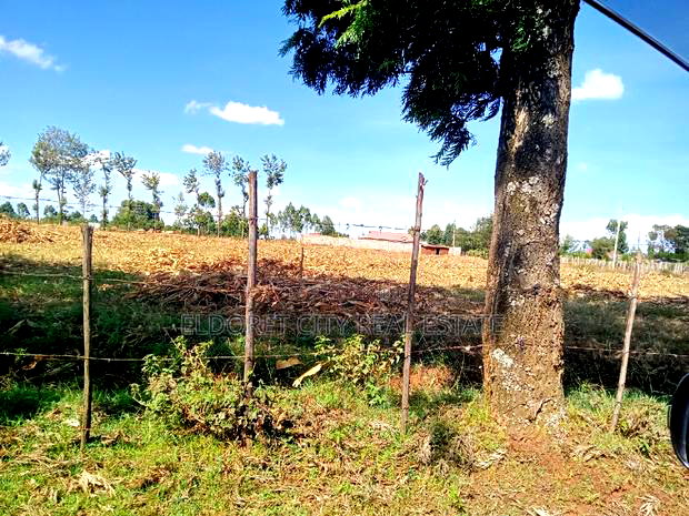 4 Acres Chebarus Ilula With Title.