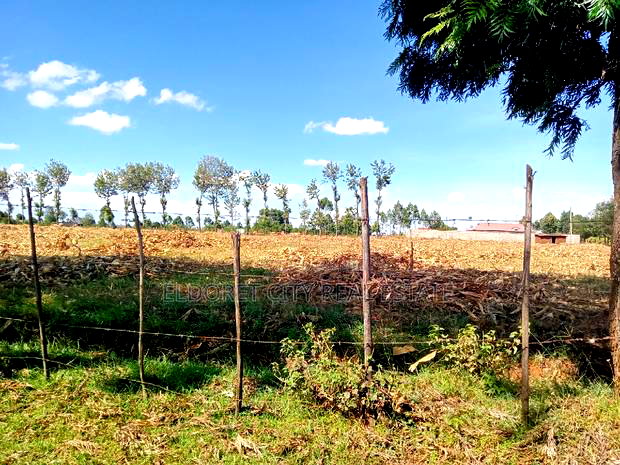 4 Acres Chebarus Ilula With Title.