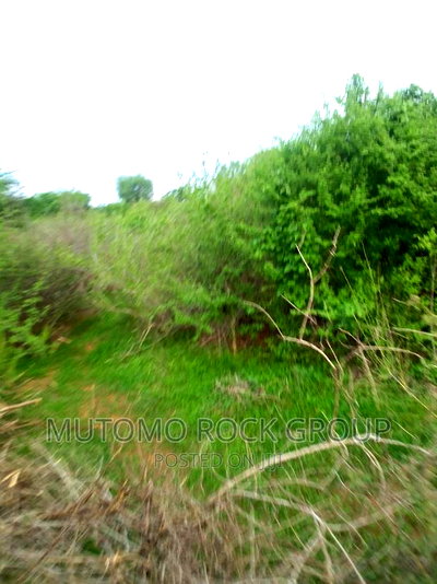 160acres for Sale - Image 3