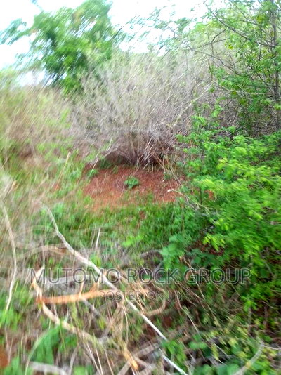 160acres for Sale - Image 2