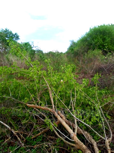 160acres for Sale - Image 1