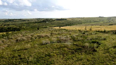 10 Acres Oloirien at 1.8m Per Acre - Image 8