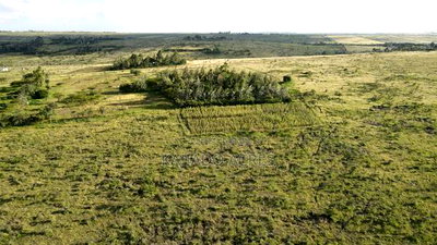 10 Acres Oloirien at 1.8m Per Acre - Image 3