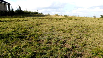 10 Acres Oloirien at 1.8m Per Acre - Image 5