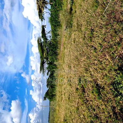 10 Acres Oloirien at 1.8m Per Acre - Image 6