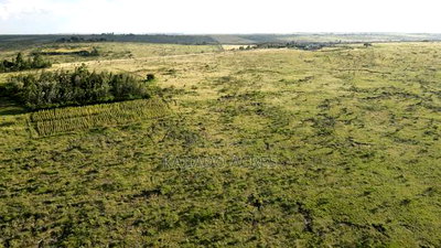 10 Acres Oloirien at 1.8m Per Acre - Image 7