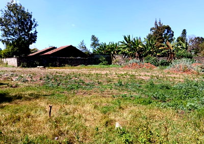1 Acre Plot in Secure Estate - KSh 35M