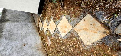 3bdrm Bungalow in Elgonview for sale - Image 5