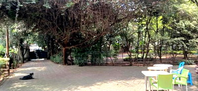 1 Acre Land in Kilimani for Joint Venture - Image 2