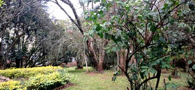 1 Acre Land in Kilimani for Joint Venture - Image 1