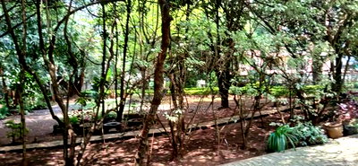 1 Acre Land in Kilimani for Joint Venture - Image 3