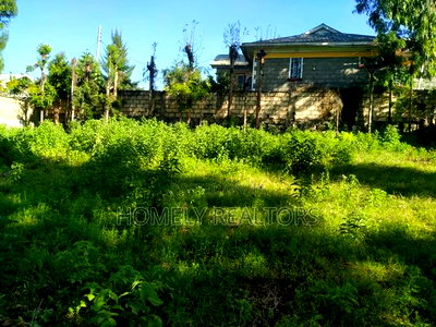 Eighth Acre Plot in Ngong Along Maragara Road With Perimeter - Image 2
