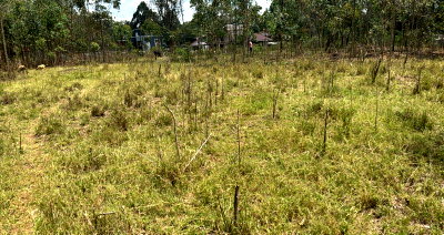 4-Acre Plot on Rhino Park Road